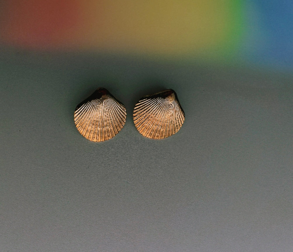 Cockle Shell Studs